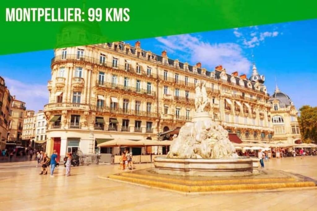 Le Noe - Ac Clim - Wi-Fi Apartment Avignon Luaran gambar